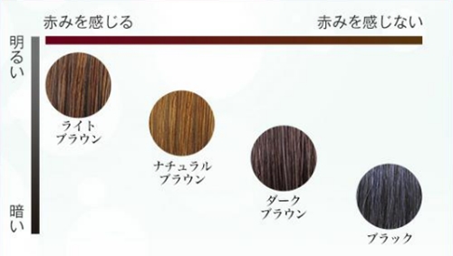 利尻 ヘアカラートリートメント 使用した口コミと染まり方 白髪染め