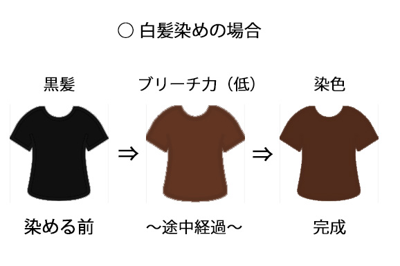 白髪染めと普通のヘアカラーの違いを実際に染めて解説 白髪染め