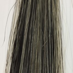 黒耀シャンプー 白髪50%の染まり